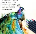 Pinselstifte Aquarellstifte Mit Befüllbaren Wassertankpinsel Malerei Set 12  24  48  72 Farben - 6.webp