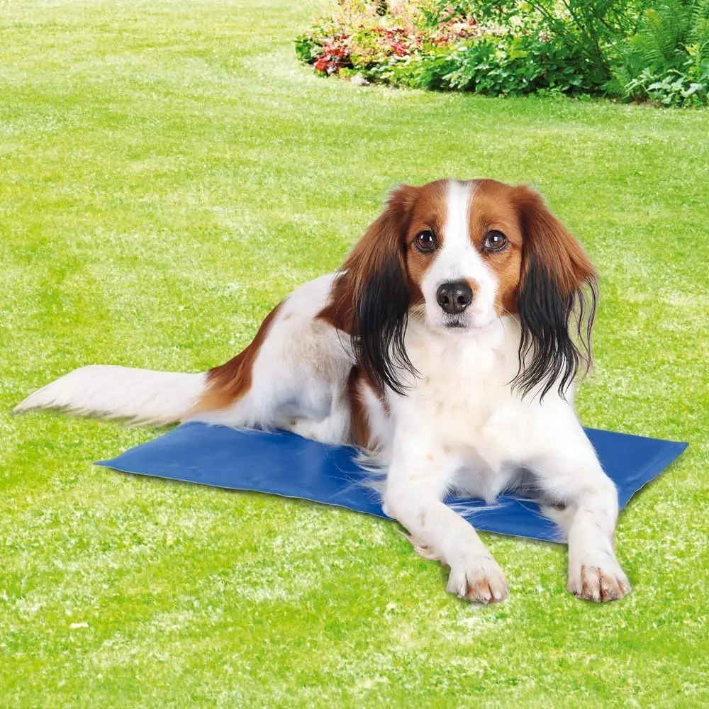 Trixie 28685 Kühlmatte, 50 × 40 cm, blau - 2.webp