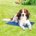Trixie 28685 Kühlmatte, 50 × 40 cm, blau - 2.webp
